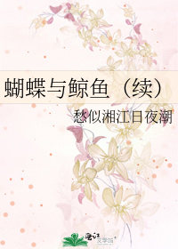 蝴蝶与鲸鱼（续）