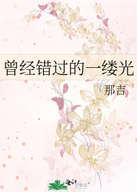曾经错过的一缕光