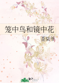 笼中鸟和镜中花