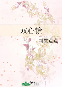 双心镜