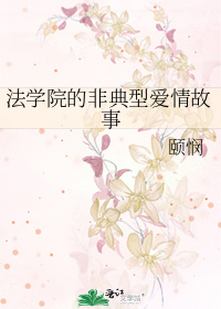法学院的非典型爱情故事