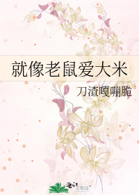 就像老鼠爱大米