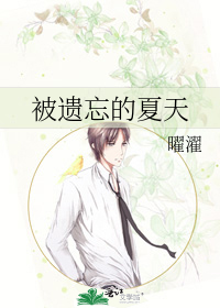 被遗忘的夏天