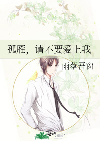 孤雁，请不要爱上我