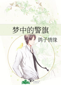 梦中的警旗