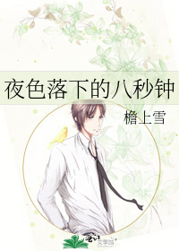 夜色落下的八秒钟
