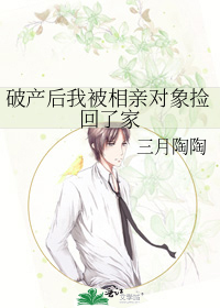 破产后我被相亲对象捡回了家