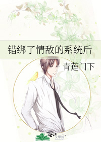 错绑了情敌的系统后