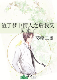 渣了梦中情人之后我又回来了