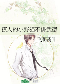 撩人的小野猫不讲武德
