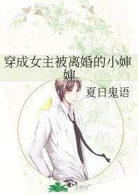 穿成女主被离婚的小婶婶