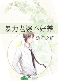 暴力老婆不好养