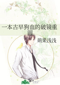 一本古早狗血的破镜重圆
