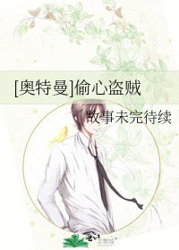 [奥特曼]偷心盗贼