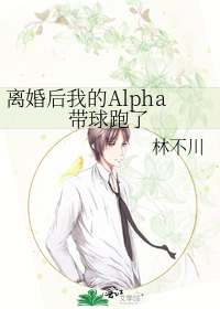 离婚后我的Alpha带球跑了