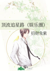 顶流追星路（娱乐圈）