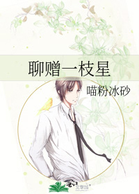 聊赠一枝星
