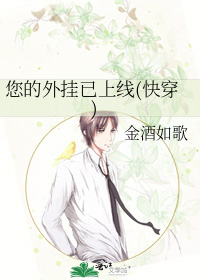 您的外挂已上线(快穿)