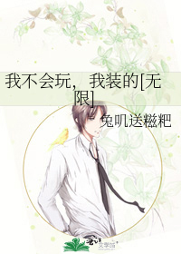 我不会玩，我装的[无限]