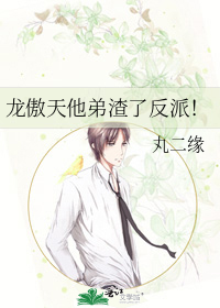 龙傲天他弟渣了反派！