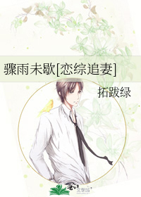 骤雨未歇[恋综追妻]