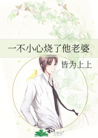 一不小心烧了他老婆
