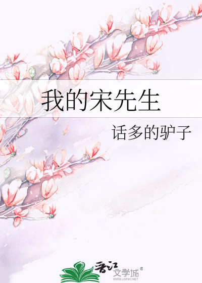 我的宋先生