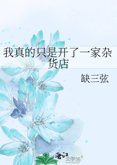 我真的只是开了一家杂货店