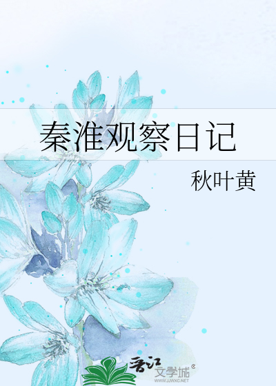 秦淮观察日记