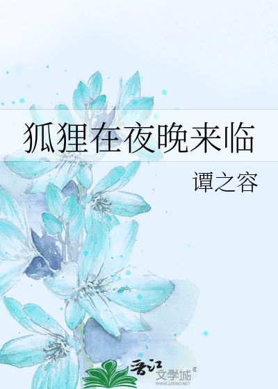 狐狸在夜晚来临