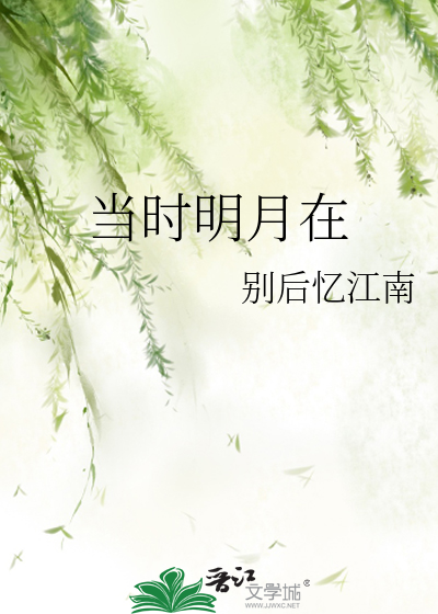 当时明月在