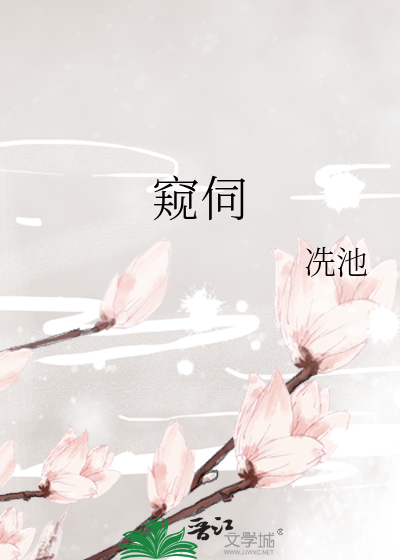 窥伺