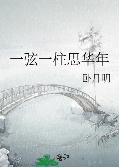 一弦一柱思华年