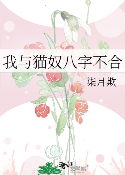 我与猫奴八字不合