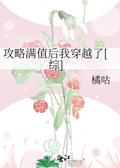 攻略满值后我穿越了[综]