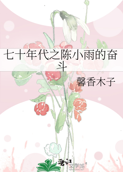 七十年代之陈小雨的奋斗
