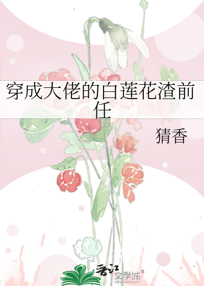 穿成大佬的白莲花渣前任