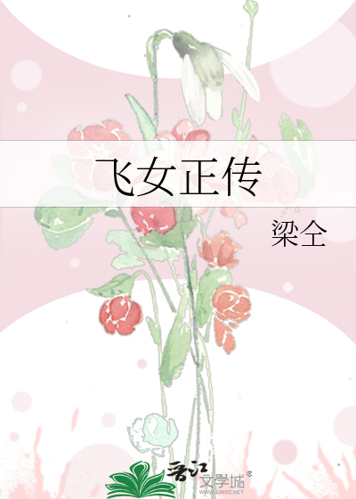 飞女正传