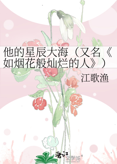他的星辰大海（又名《如烟花般灿烂的人》）
