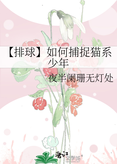 【排球】如何捕捉猫系少年