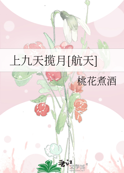 上九天揽月[航天]