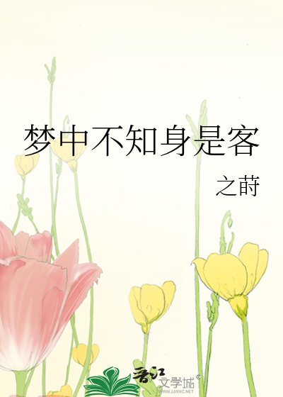梦中不知身是客