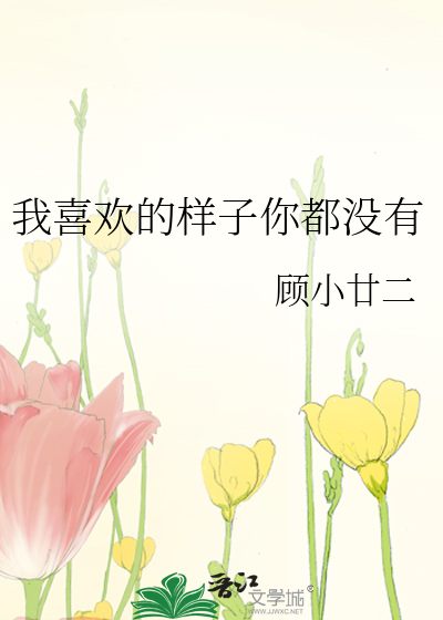 我喜欢的样子你都没有