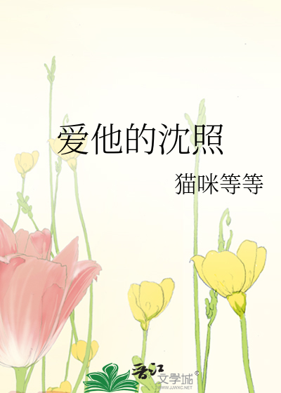 爱他的沈照