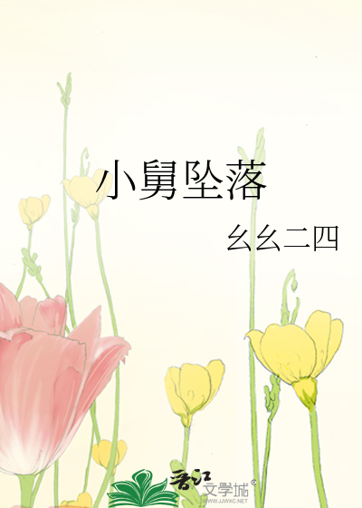 小舅坠落
