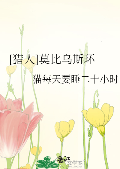 [猎人]莫比乌斯环