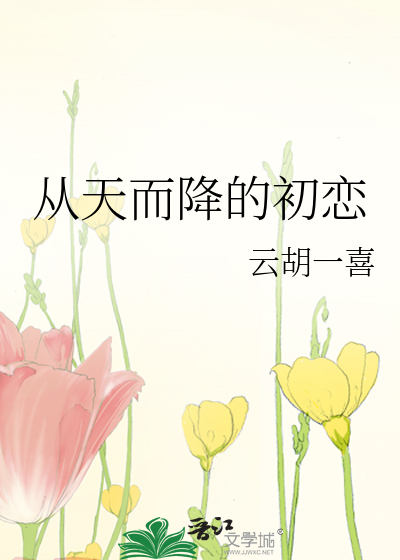 从天而降的初恋