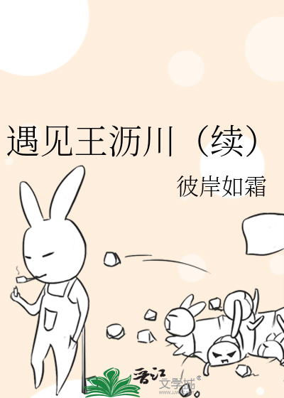 遇见王沥川（续）