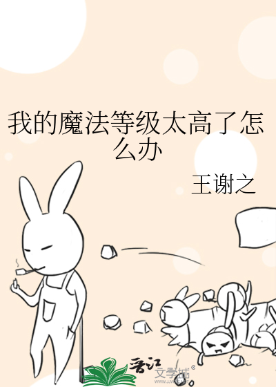 我的魔法等级太高了怎么办