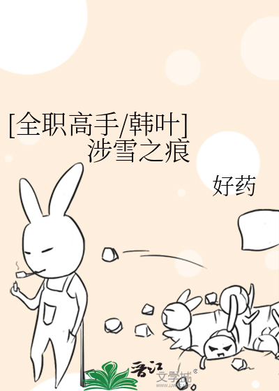 [全职高手/韩叶] 涉雪之痕